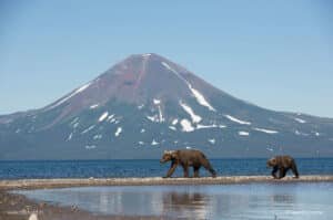kamchatka-rusia