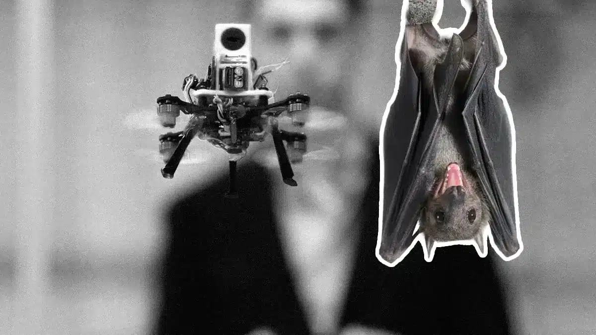 Imagen AP | Dron de rescate inspirado en murciélagos que usa ecolocalización