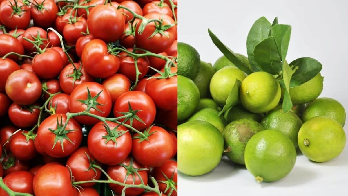 Cómo afectan los bloqueos al transporte de carga y abasto