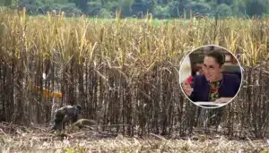 El arancel al azúcar, una medida inteligente