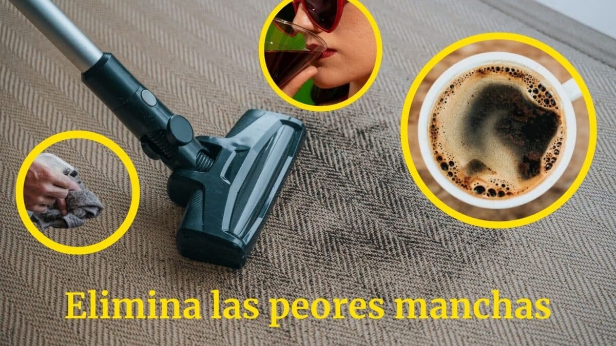 Trucos de expertos para quitar manchas imposibles de tu alfombra