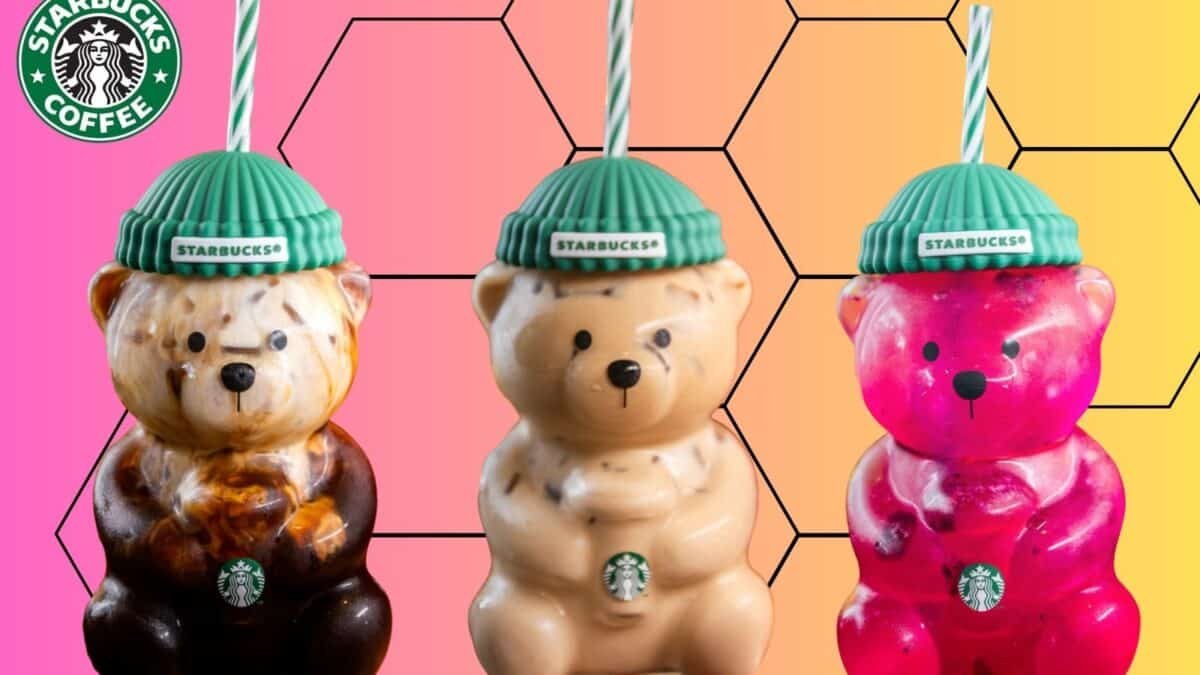 vaso oso starbucks