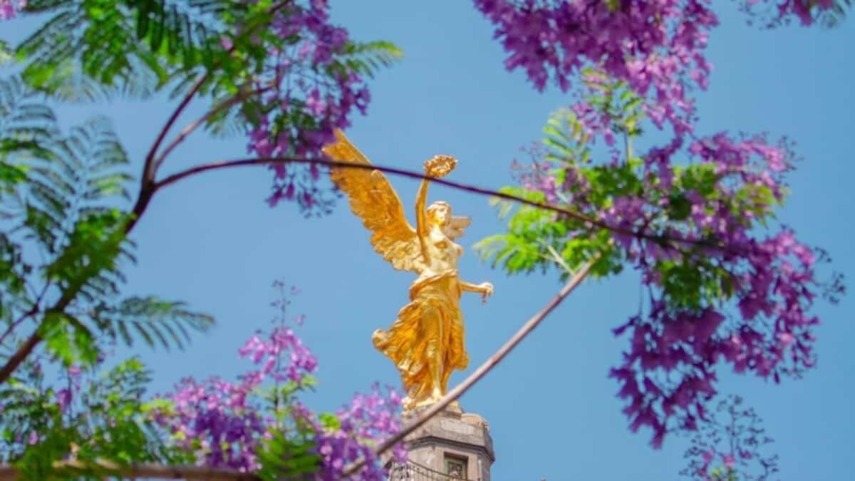 Qué hacer en CDMX este febrero 2026: 30 planes imperdibles para disfrutar la ciudad